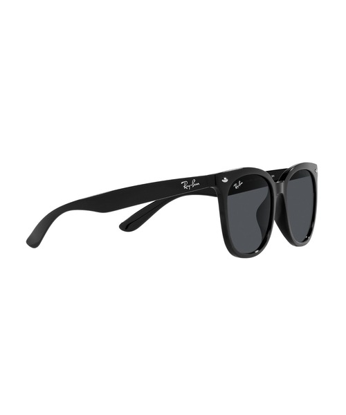 Ray-Ban レイバン サングラス RB4379D(アジア限定モデル) Ray-Ban サングラス レイバン RB4379D(アジア限定モデル・ロー