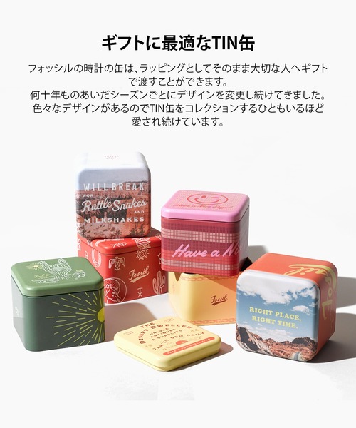 FOSSIL（フォッシル） 腕時計 腕時計 メンズ アナログ ステンレス