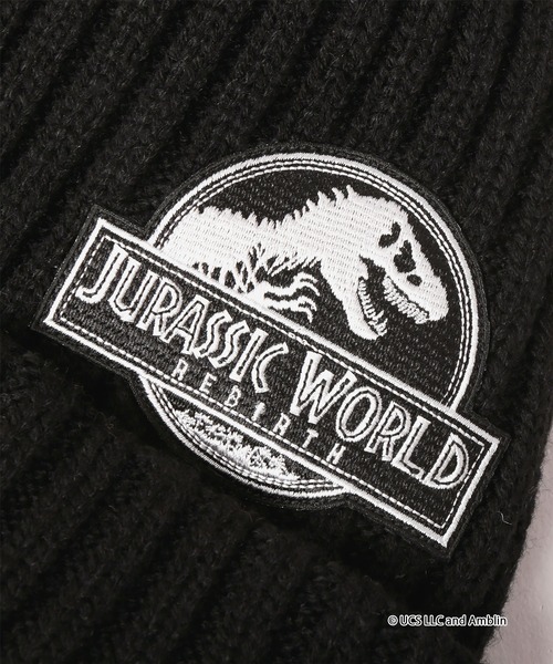 ユウ様　未使用　カシラ　ニット帽　チュール　レース　日本製　ブラック　黒 CA4LA（カシラ） ニット帽 ニットキャップ JURASSIC WORLD｜CA4LA KNIT