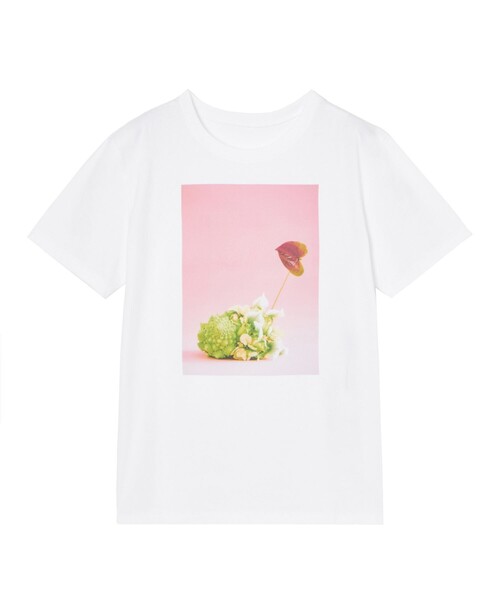 tシャツ コットン天竺ロマネスコプリントTシャツ レディース