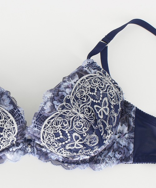 クラシック Absorle ブラジャー ショーツセット ブライトバタフライチュール 下着・アンダーウェア