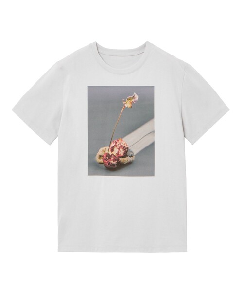 tシャツ コットン天竺ザクロプリントTシャツ レディース