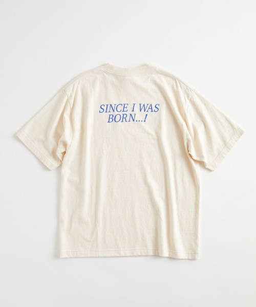 「THE SHINZONE」 半袖Tシャツ FREE キナリ レディース_画像5