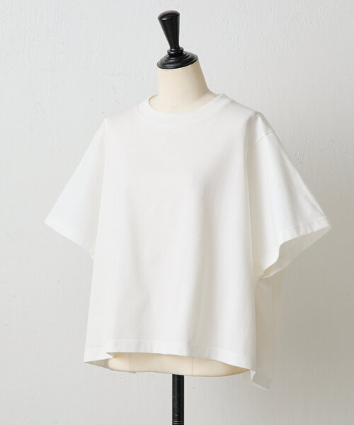 楽天市場】ビアズリー（Tシャツ・カットソー｜トップス