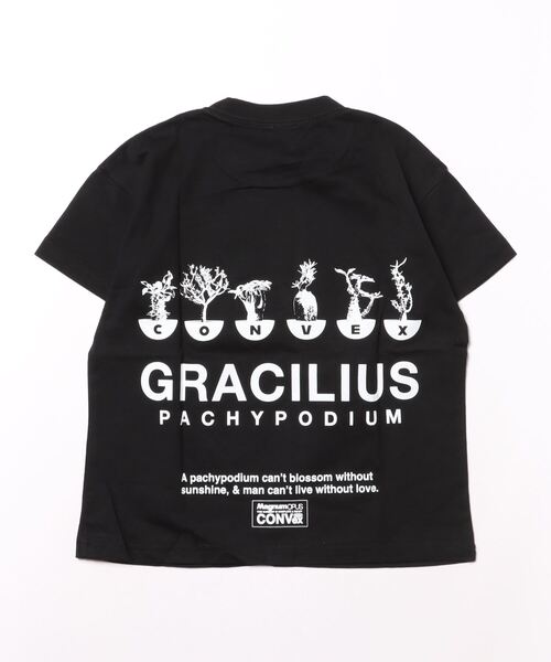 CONVEX（コンベックス） tシャツ パキポディウム/WIDE-T キッズ 子供服