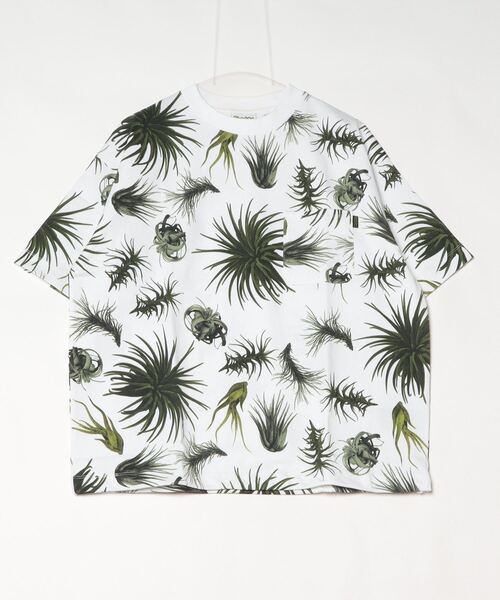 「PHATEE」 半袖Tシャツ MEDIUM グリーン メンズ_画像2