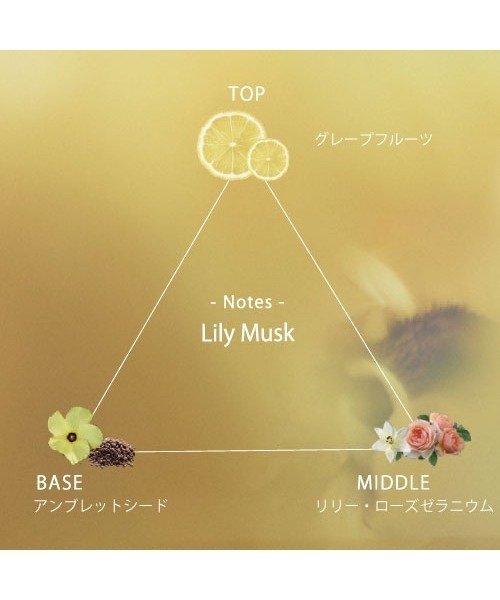 soel 香水 ソエル soel / 「Backside works.」リビングオイル