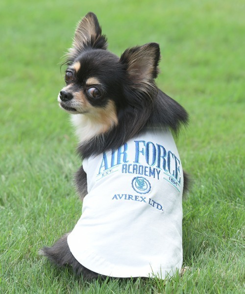 GRACE CONTINENTAL / グレースコンチネンタル DOGWEAR-オーバーオール1 GRACE CONTINENTAL 犬 服 DOGWEAR-オーバーオール1 : ZOZOTOWN