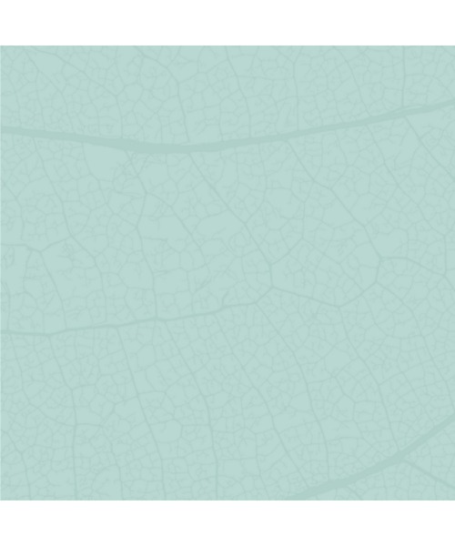 Melvita（メルヴィータ） スキンケアセット ネクターピュア マティファ