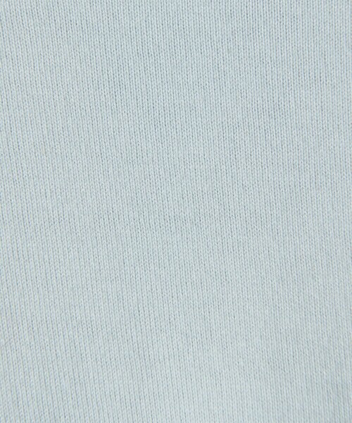 BEAUTY＆YOUTH UNITED ARROWS tシャツ 「WEB限定」フィッシュ ロング
