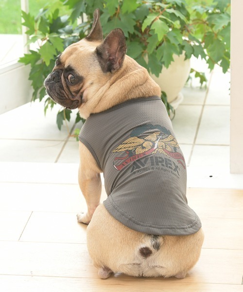 AVIREX 犬用　新品未使用品　レザー風　Mサイズ AVIREX（アヴィレックス）MA-1 ロゴ ジャンバー 犬 ペット