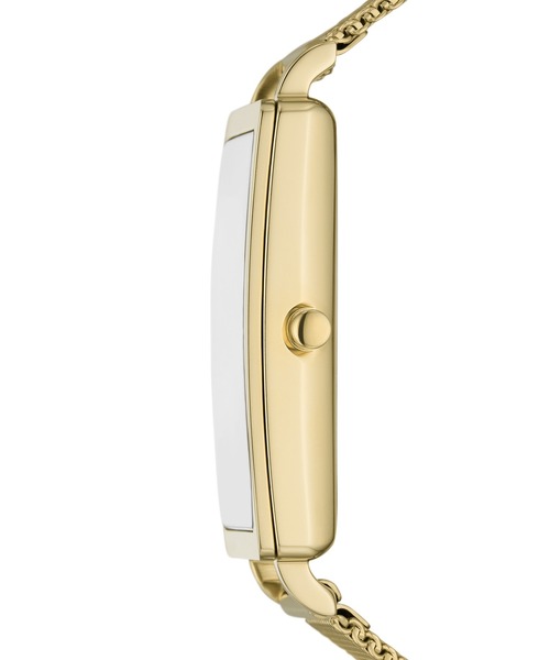 SKAGEN 腕時計 スカーゲン レディース アナログ ステンレス