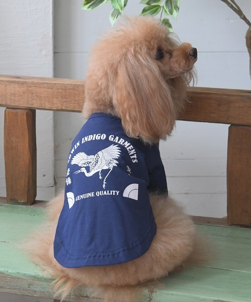 EDWIN（エドウィン） 犬 服 EDWIN/藍染風タンチョウTシャツ : ZOZOTOWN