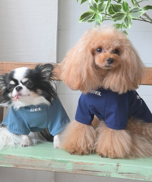 EDWIN（エドウィン） 犬 服 EDWIN/藍染風タンチョウTシャツ : ZOZOTOWN