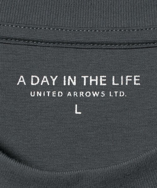 A DAY IN THE LIFE tシャツ シャイニー ポンチ ジャストクルーネック 
