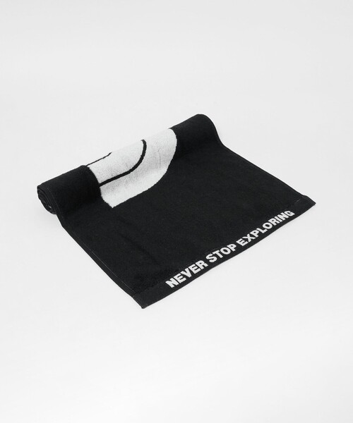 THE NORTH FACE（ザ ノースフェイス） ノースフェイス ハンカチ 「WEB