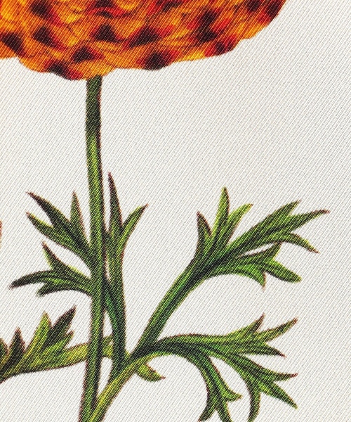 「CABaN」 長袖シャツ S ベージュ レディース_画像8