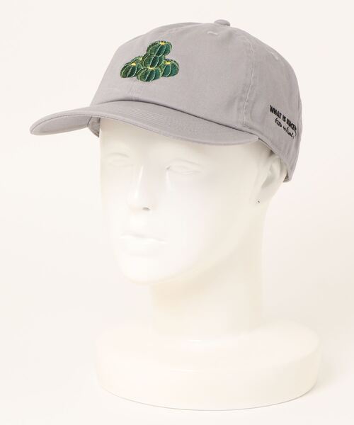 「sunny branch」 「NEWHATTAN」キャップ FREE グレー レディース_画像3