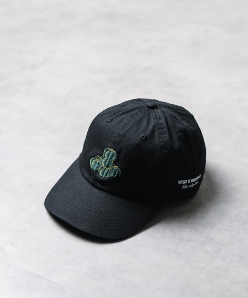 「sunny branch」 「NEWHATTAN」キャップ FREE グレー レディース_画像9