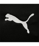 パンツ PUMA プーマ メンズ トレーニング...の詳細画像2