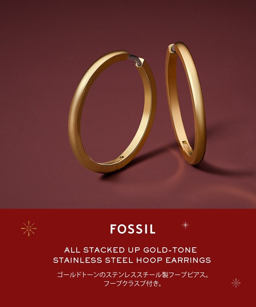 ピアス フォッシル アクセサリー レディース ピアス  JF04638710 レディースの画像