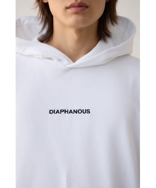 AZUL BY MOUSSY（アズールバイマウジー） パーカー バックフォト