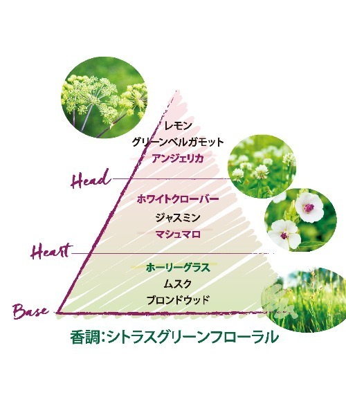 L'OCCITANE（ロクシタン） 香水 エルバブランシュ オードトワレ 50mL