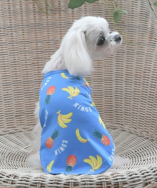 TONE（トネ） uvカット 犬 服 「muumdog」犬服 ハンドメイド「吸水速乾