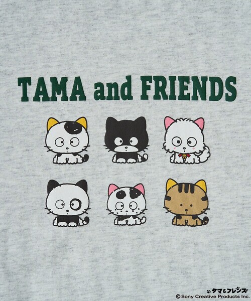 タマ&フレンズ★♥タマ&モモ・ポチ&コマ♥★アクション バンク★2個セット Amazon | タマ＆フレンズ ふわふわフェイスポーチ [全5種セット