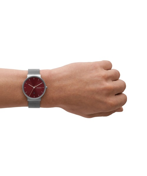 「SKAGEN」 アナログ腕時計 FREE グレー メンズ_画像3