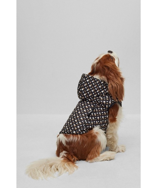 BOSS（HUGO BOSS） 犬 服 ドッグ はっ水 パデッドジャケット
