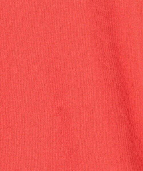 tシャツ 連シルフライスクルーネック半袖プルオーバー レディース CHILD WOMAN tシャツ 連シルフライスクルーネック半袖プル