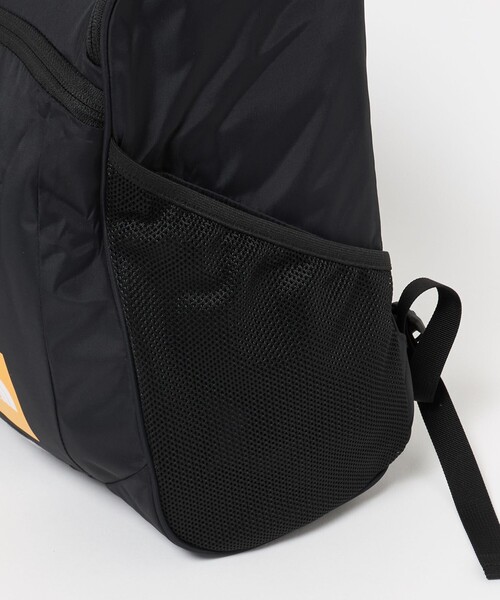 THE NORTH FACE（ザ ノースフェイス） ノースフェイス リュック 「WEB