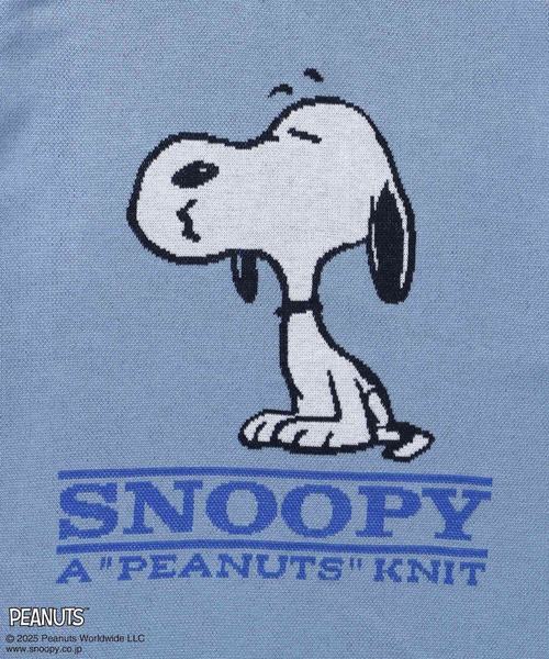 ICEBERG スヌーピー サマーニットセーター SNOOPY セーター ニット 「SEQUENZ（シークエンズ）」TP SUMMER