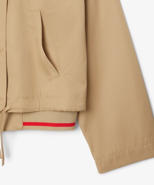 「LACOSTE」 ブルゾン 36 ダークグリーン レディースの画像