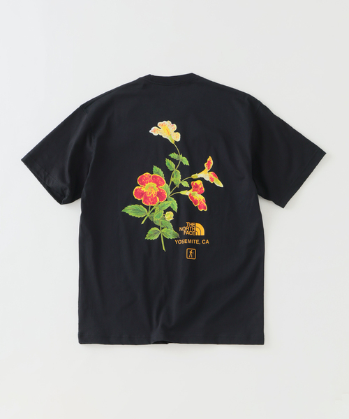ノースフェイス tシャツ THE NORTH FACE / ノースフェイス ヨセミテ フラワーティー メンズの画像