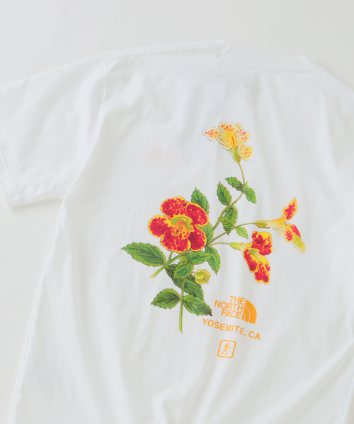ノースフェイス tシャツ THE NORTH FACE / ノースフェイス ヨセミテ フラワーティー メンズの画像