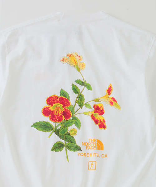 ノースフェイス tシャツ THE NORTH FACE / ノースフェイス ヨセミテ フラワーティー メンズの画像