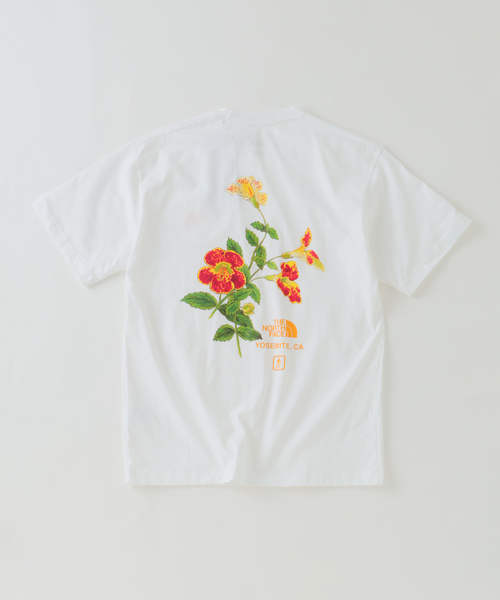 ノースフェイス tシャツ THE NORTH FACE / ノースフェイス ヨセミテ フラワーティー メンズの画像