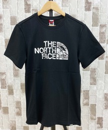 THE NORTH FACE tシャツ ウッドドーム半袖Tシャツ メンズ