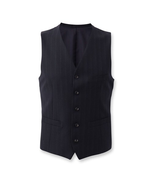 TAKEO KIKUCHI（タケオキクチ） スーツ ベスト 「THE FLAGSHIP」矢絣