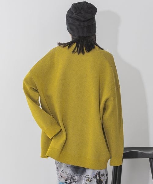 ニット 12G Wジャガードボリュームスリーブプルオーバー/166314 レディース