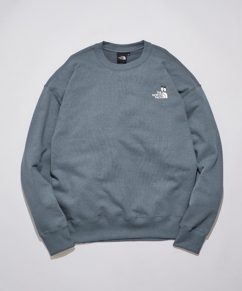 THE NORTH FACE（ザ ノースフェイス） ノースフェイス トレーナー