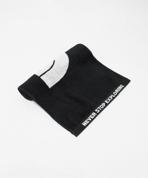 THE NORTH FACE（ザ ノースフェイス） ノースフェイス タオル 「THE