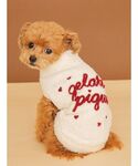 犬 ハーネス リード 「CAT&DOG」ハイネ...の詳細画像1