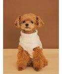 犬 ハーネス リード 「CAT&DOG」ハイネ...の詳細画像2