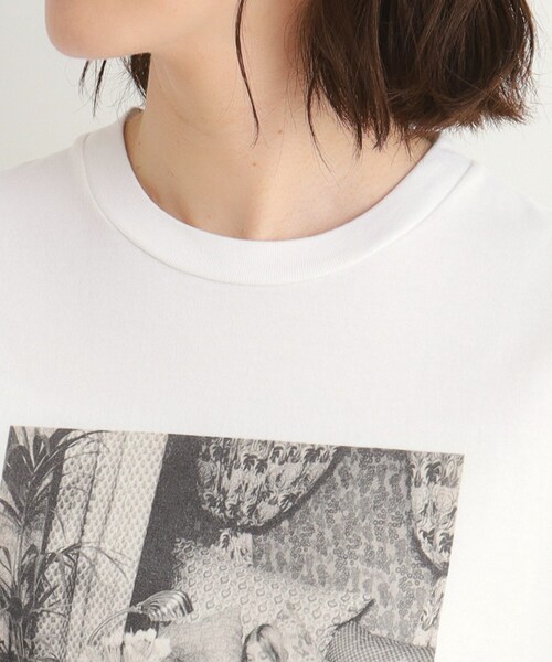 【一部店舗限定カラーあり大人気！日本製Laura Ashley ヒストリーフォト】ガール フォトTシャツ STORY掲載！/一部店舗限定カラーあり/大人気！日本製/Laura