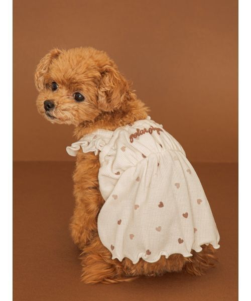 gelato pique（ジェラートピケ） 犬 ハーネス リード 「Valentine