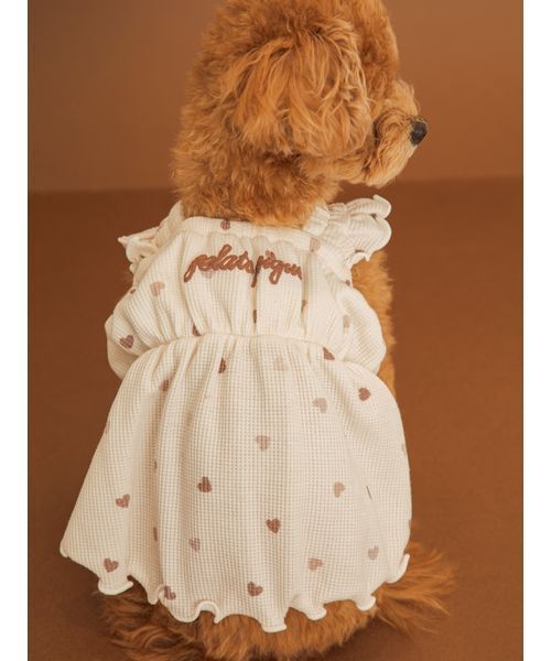 gelato pique（ジェラートピケ） 犬 ハーネス リード 「CAT＆DOG