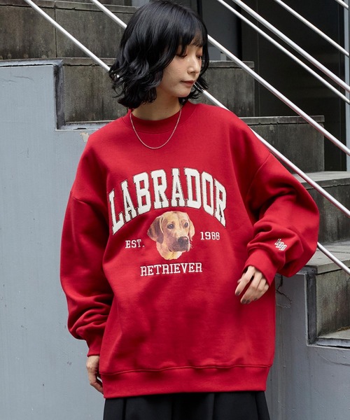 「Labrador Retriever」 スウェットカットソー M 杢グレー メンズ_画像9